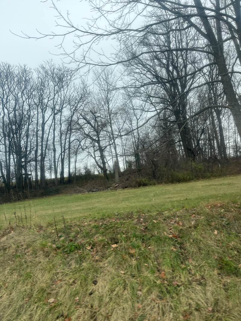 walking near me in Westside Memorial Park in winter