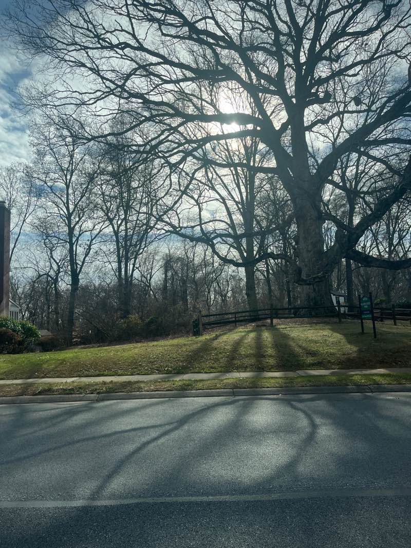 walking near me in Majors Choice Park in winter