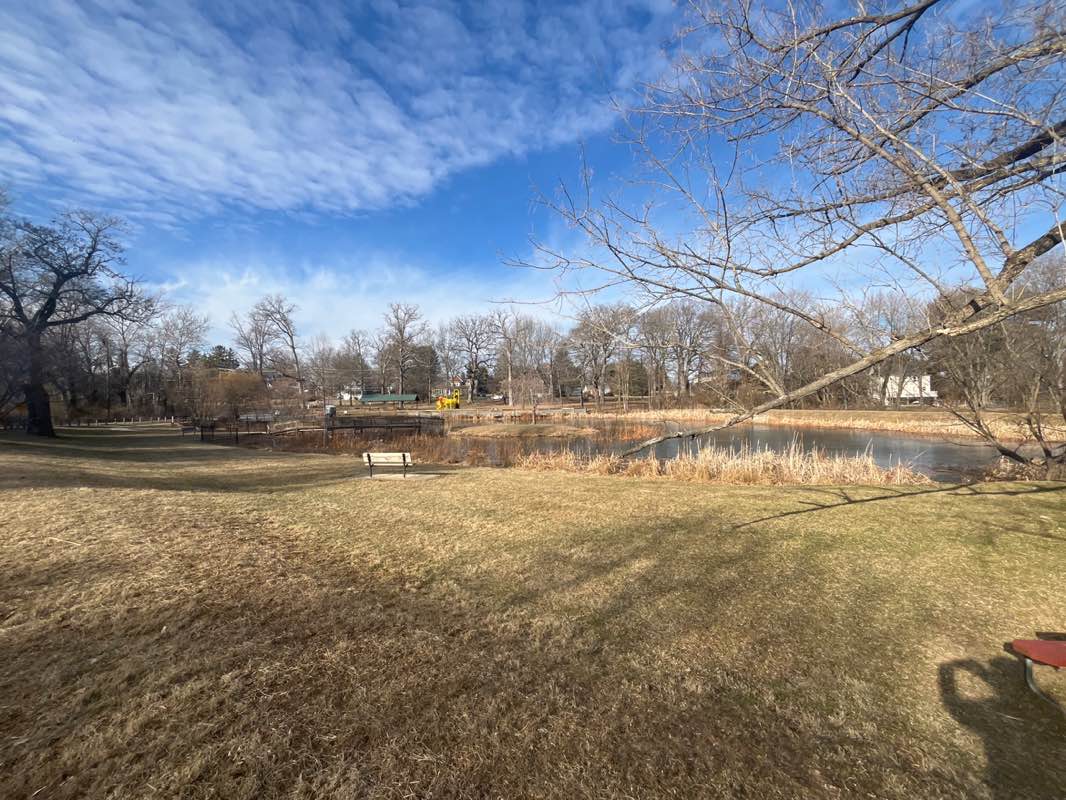 walking near me in Friends Park in winter