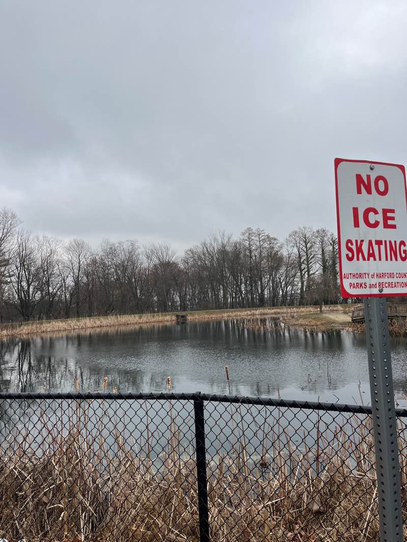 walking near me in Forest Hill Lake Fish Management Area in spring