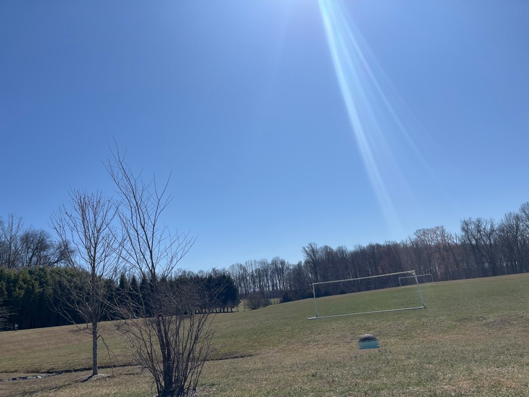 walking near me in Darlington Park in spring