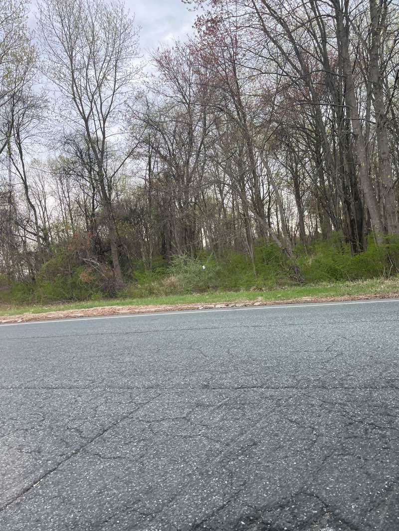 walking near me in Emily Bayless Graham Park in spring