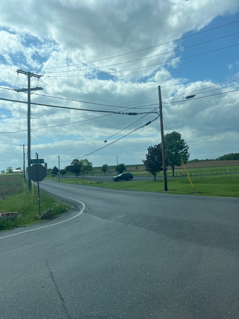 walking near me in Leidighs Park in spring