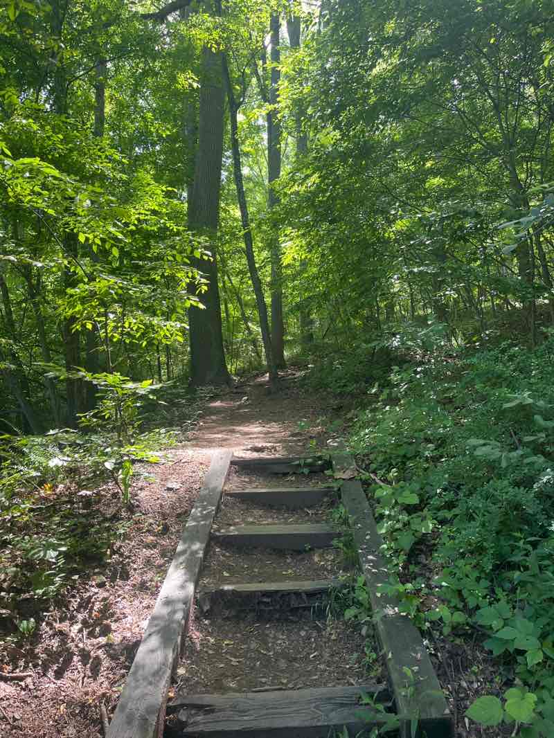 walking near me in Rocks State Park in spring