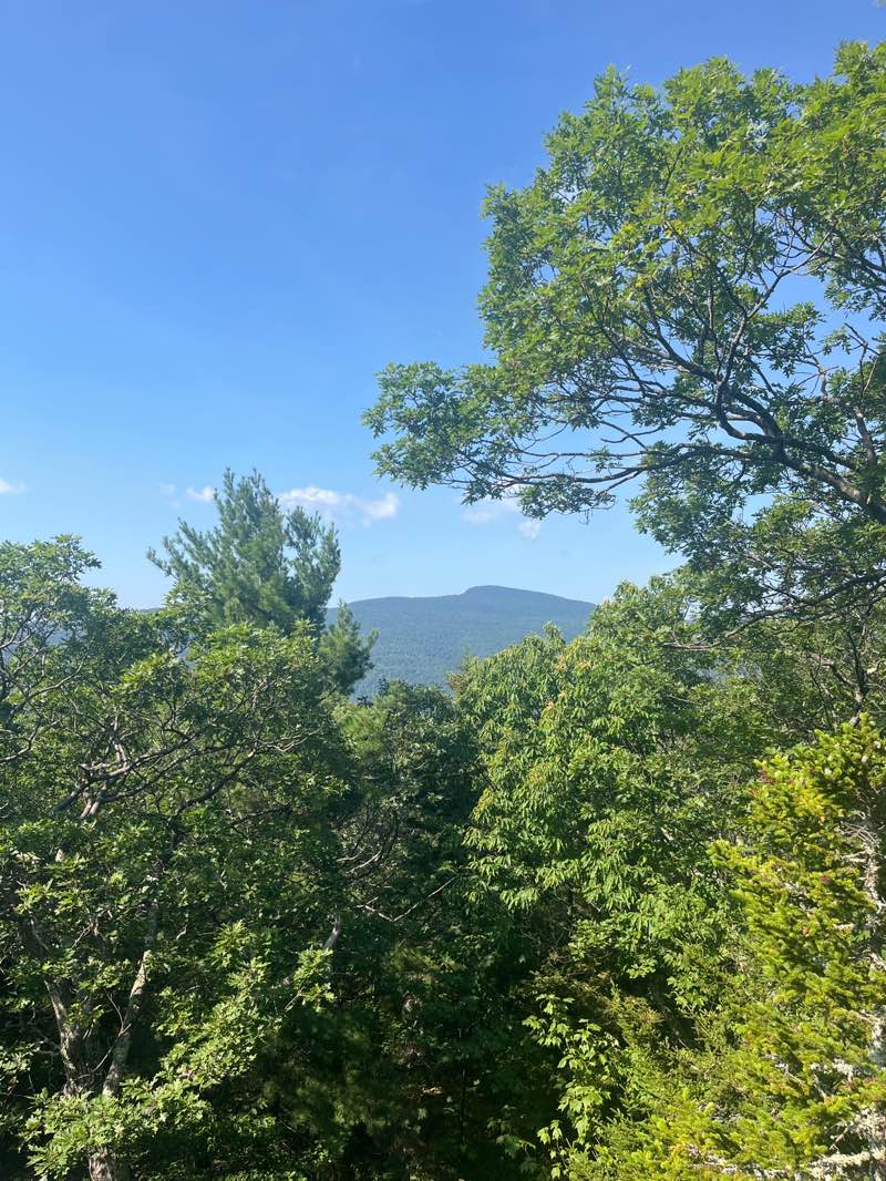 walking near me in Kaaterskill Wild Forest in autumn