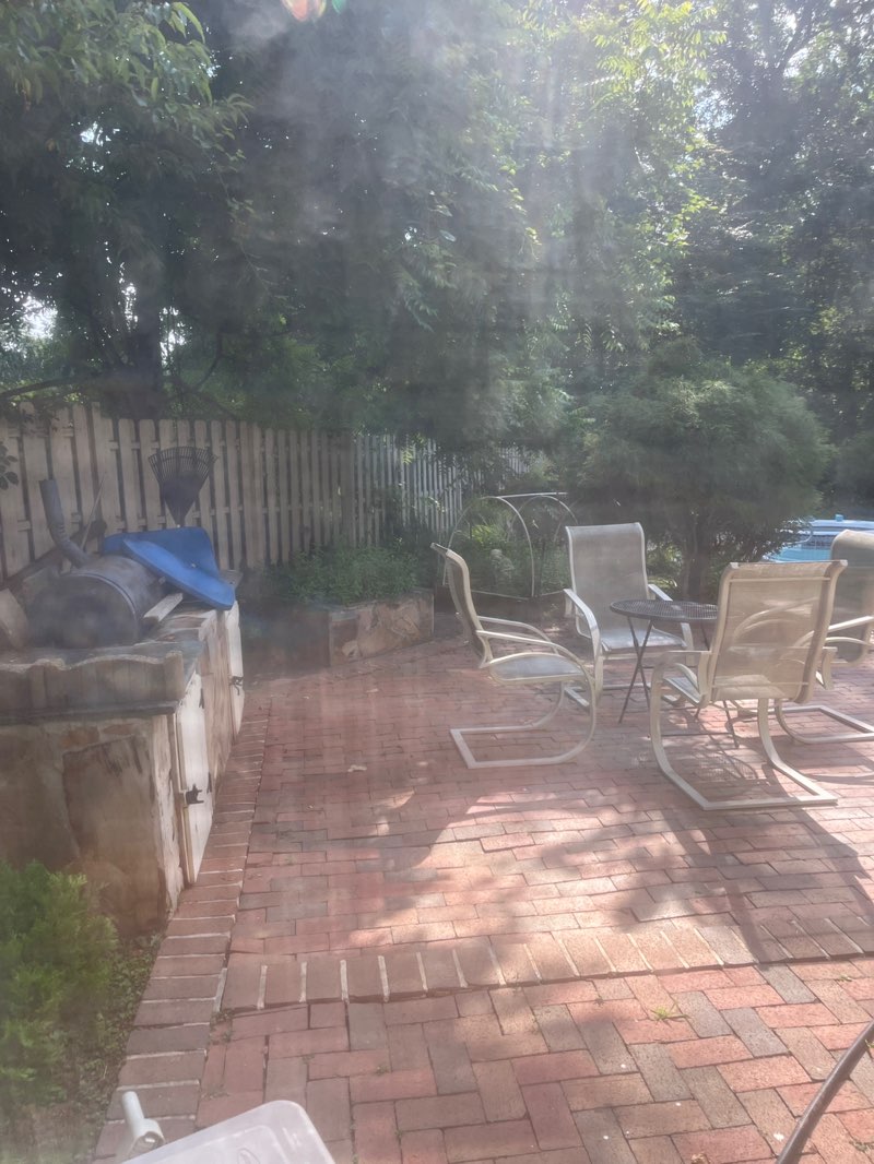walking near me in Watts Branch Stream Valley Park in summer