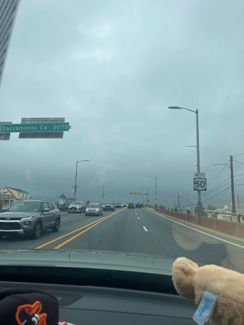 walking near me in Entry Park in autumn