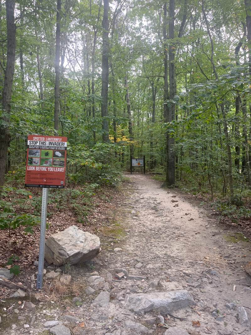 walking near me in Money Rocks County Park in autumn
