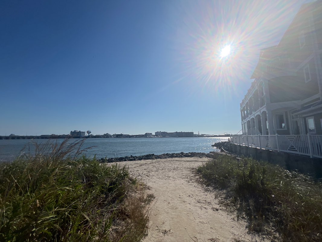 walking near me in Homer Gudelsky Park in autumn