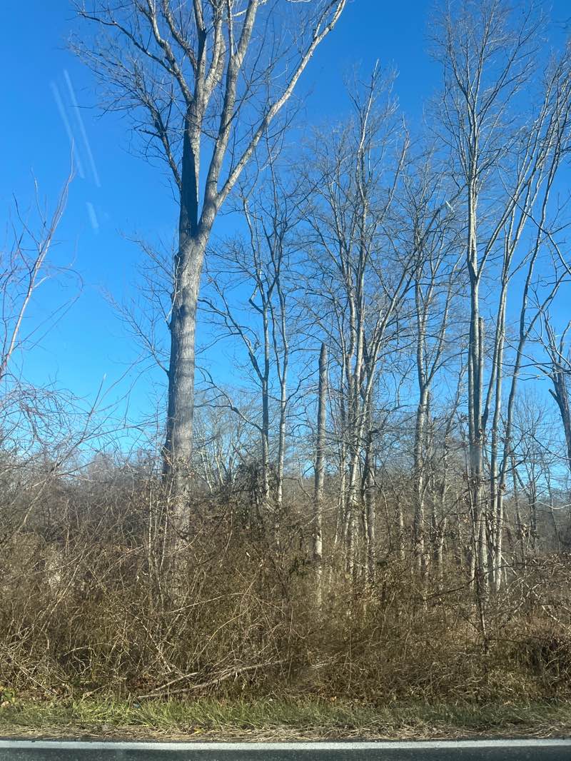 walking near me in Prospect Mill Park in winter