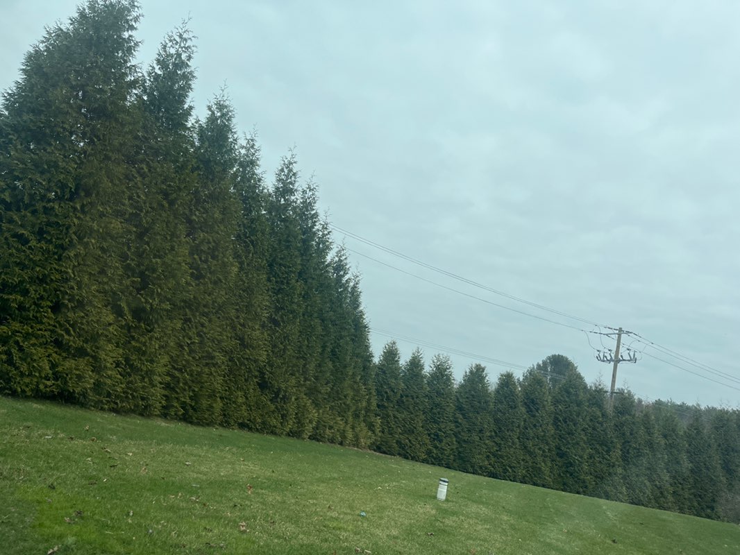 walking near me in Dublin Dell Park in spring