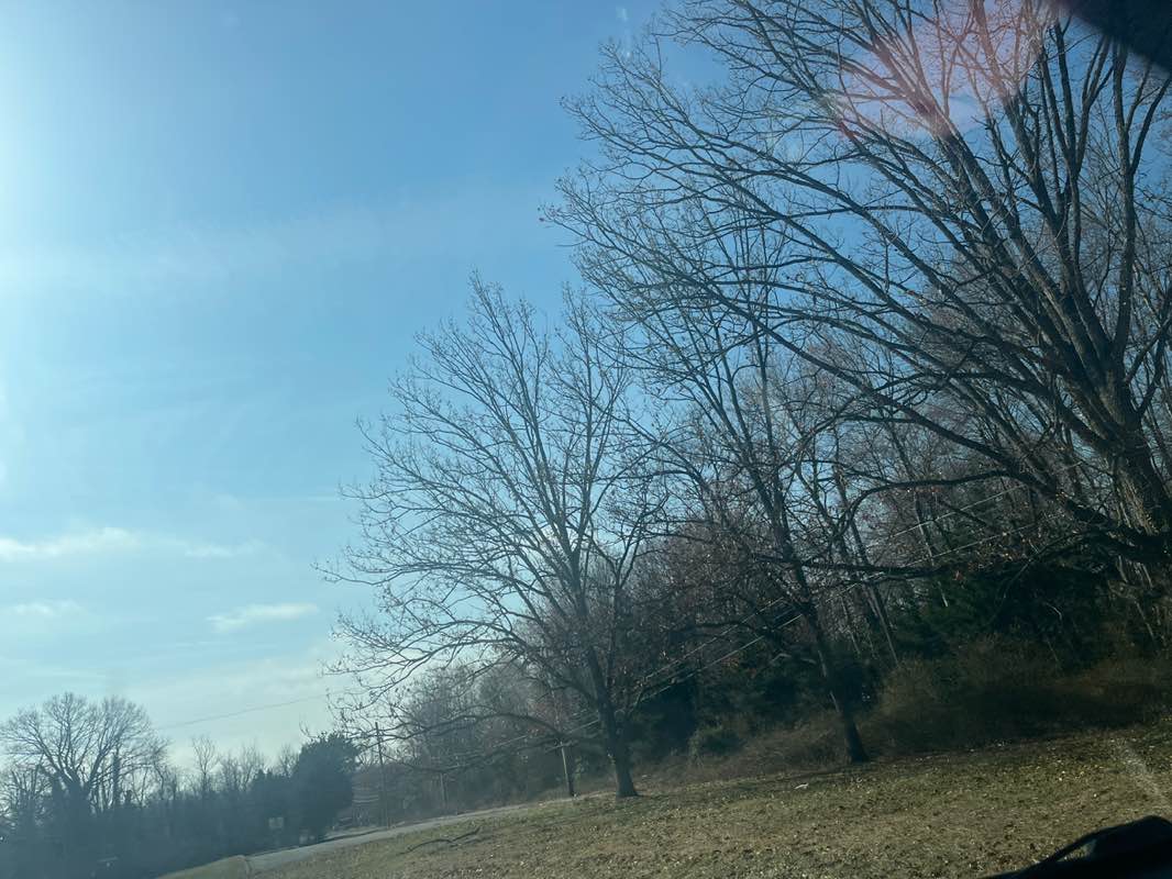 walking near me in Reckord Road Park in spring