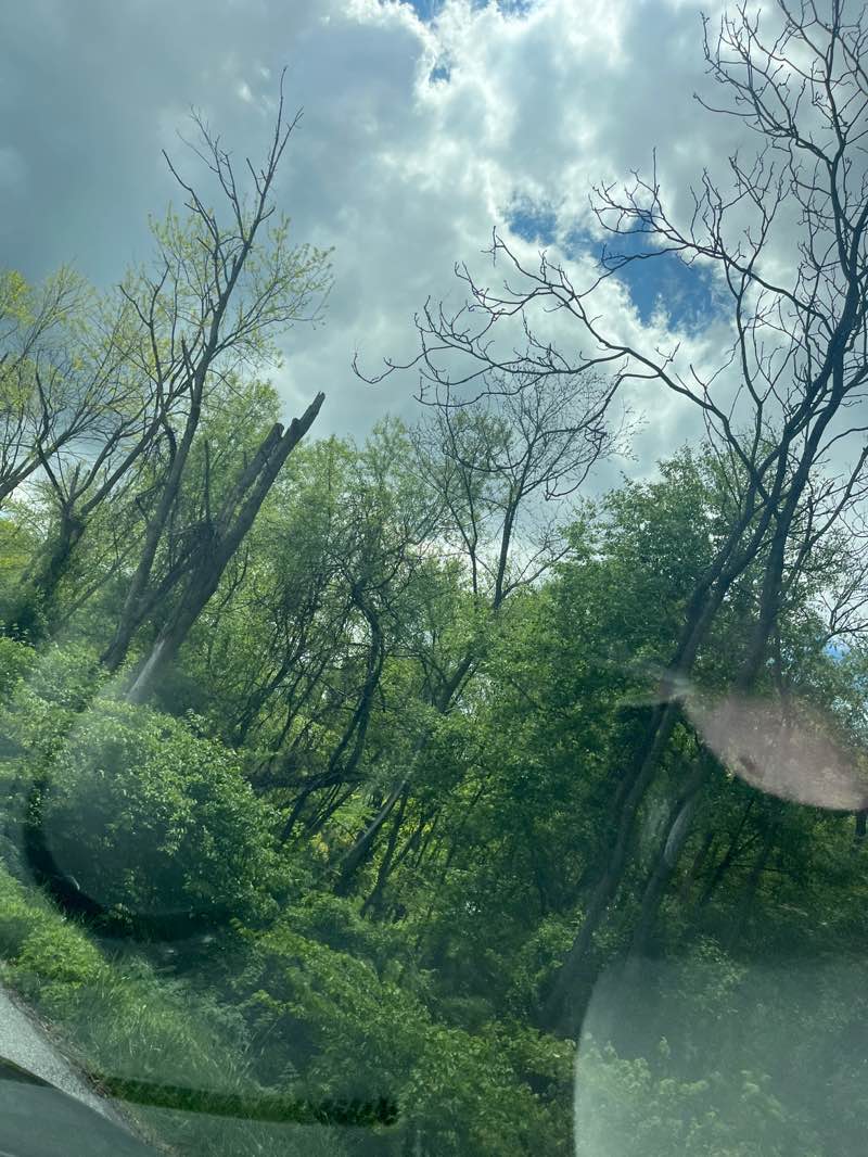 walking near me in Muddy Run in spring