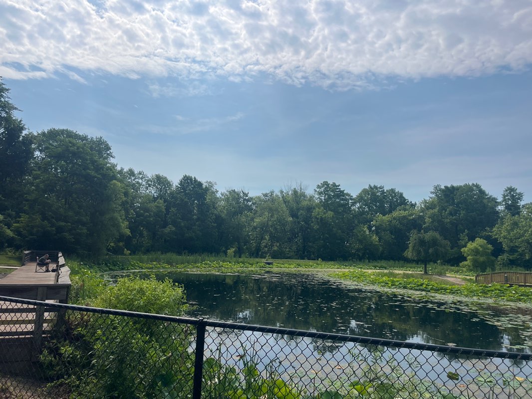 walking near me in Forest Hill Lake Fish Management Area in summer