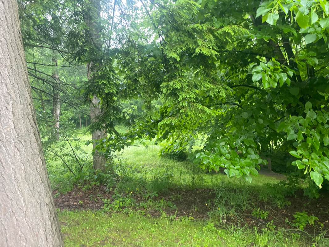 walking near me in Woodland Park in summer