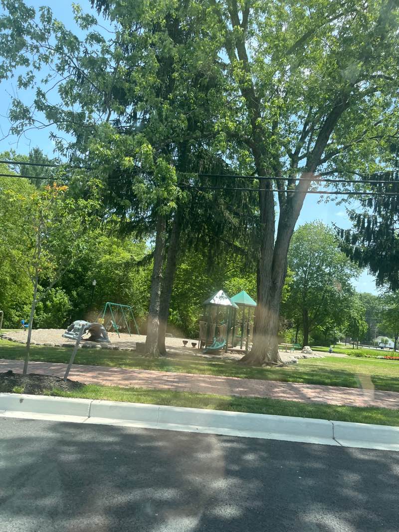 walking near me in Plumtree Park in summer