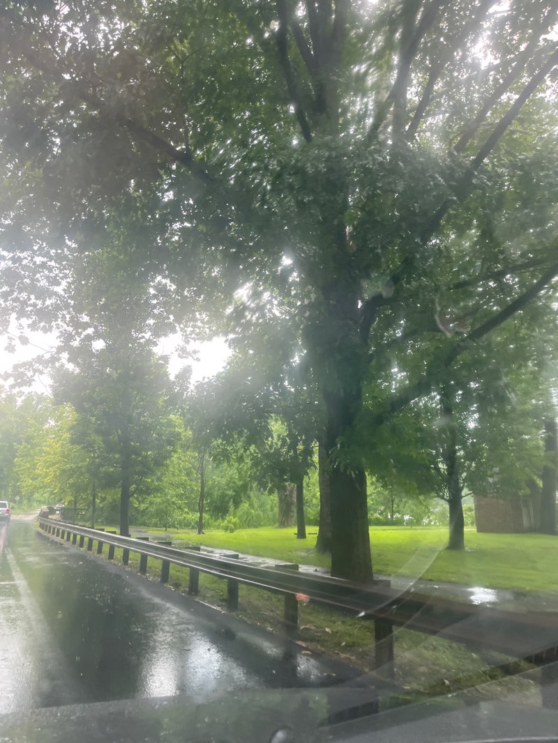 walking near me in Flat Rock Park in summer