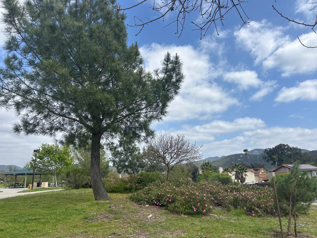 walking near me in Hilton Head Park in spring