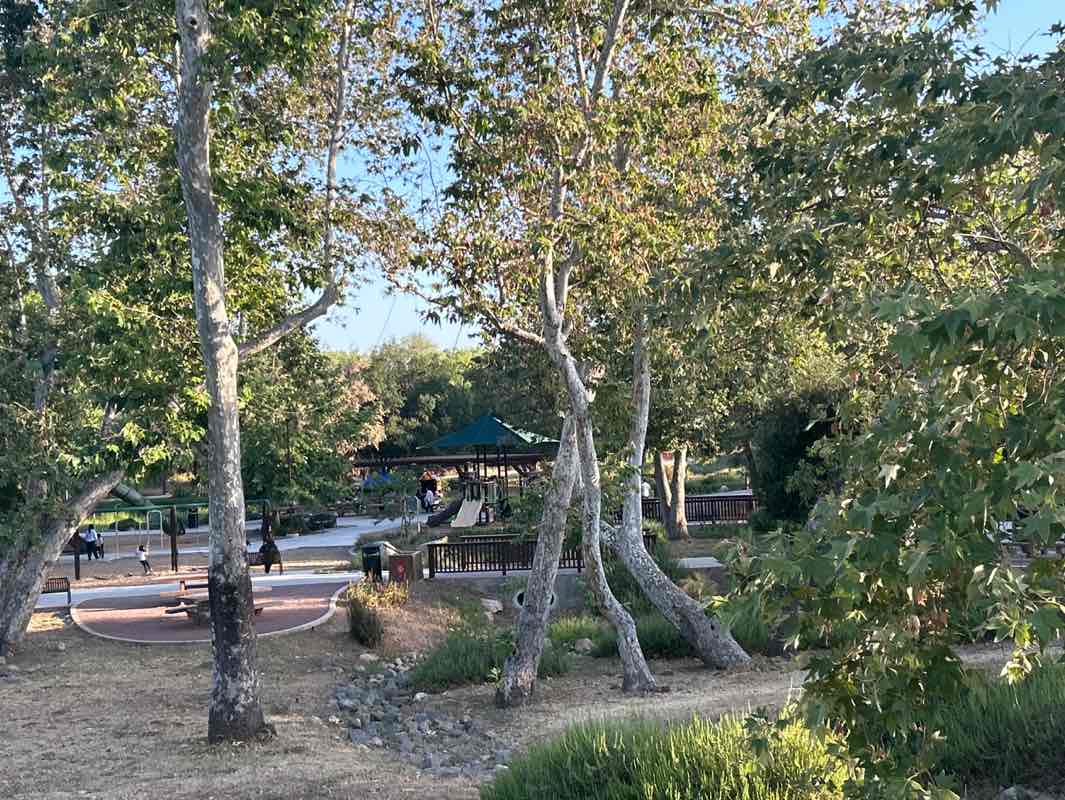 walking near me in Mast Park in spring