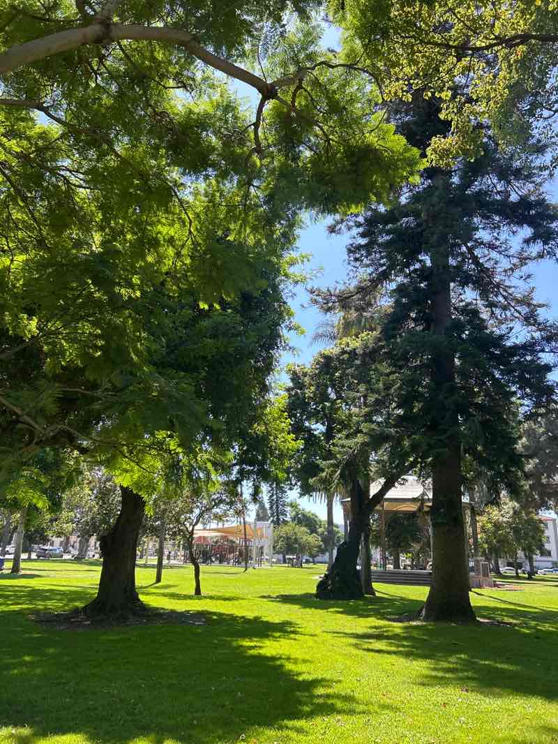 walking near me in Spreckels Park in autumn
