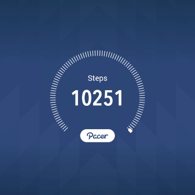 Lazy Walkers nishant post image