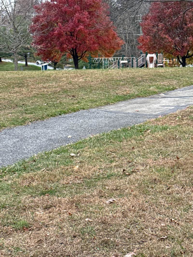 walking near me in Friendship Park in autumn