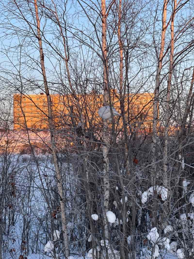 walking near me in Frame Lake West Park in winter