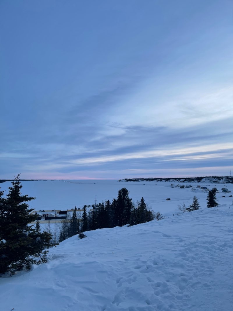 walking near me in Fritz Theil Ball Park in winter