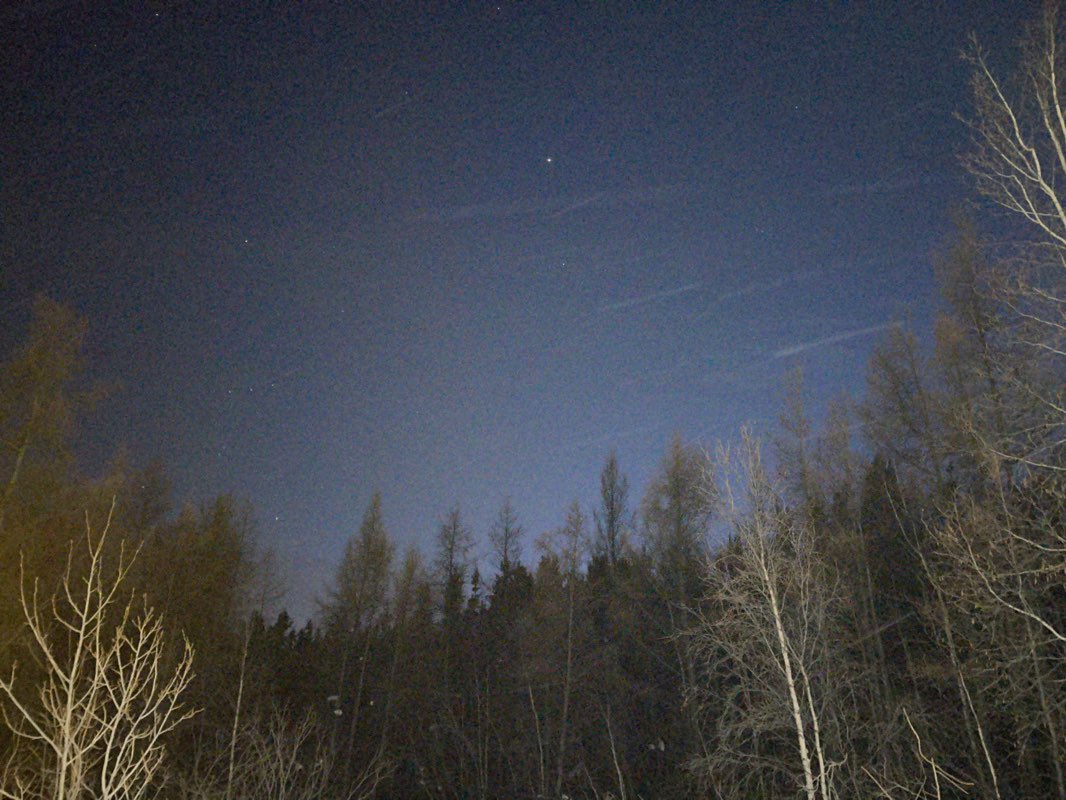 walking near me in Tommy Forrest Ball Park in spring