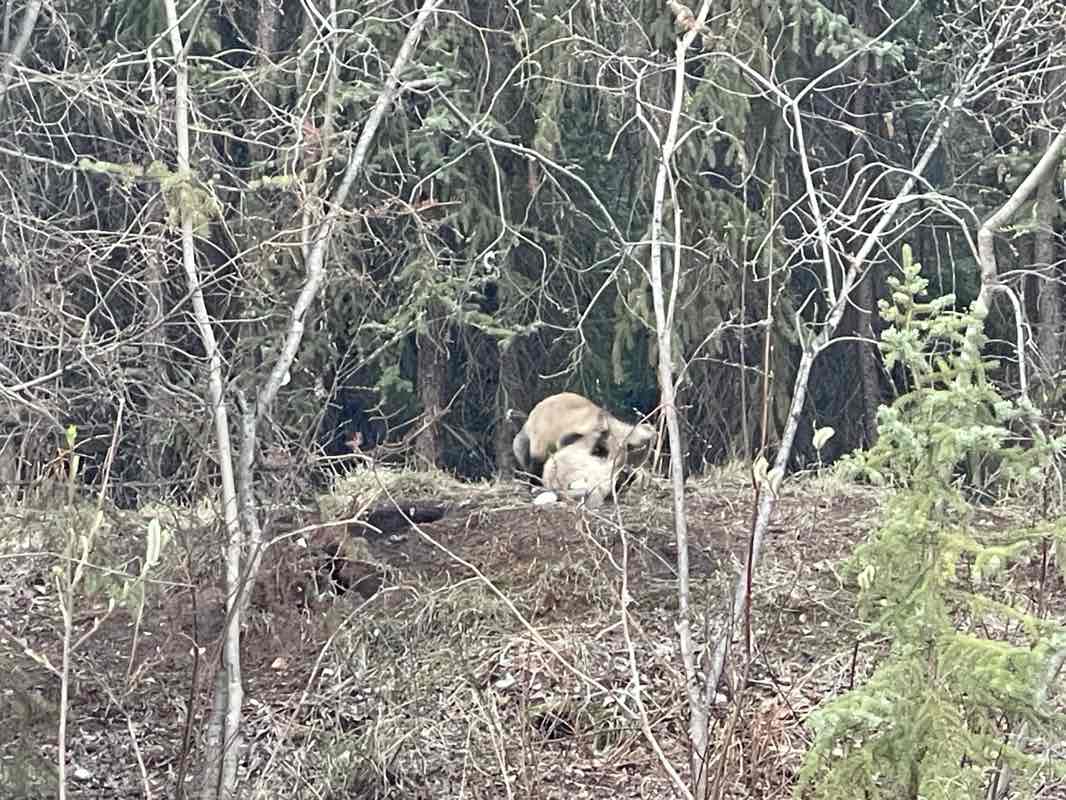 walking near me in McNiven Beach and Playground in spring