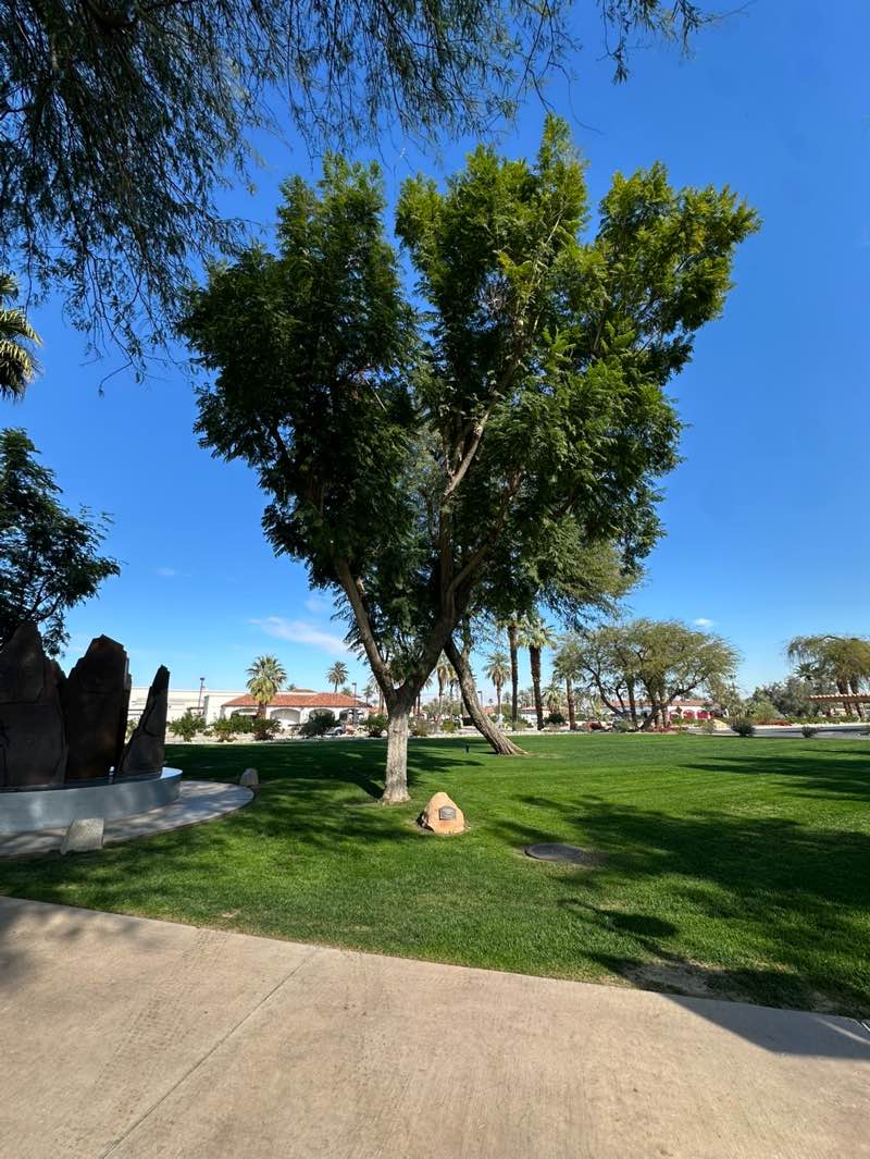 walking near me in La Quinta Civic Center Park in winter