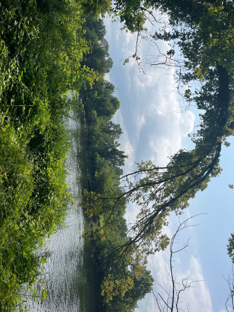 walking near me in Domtar Park in winter