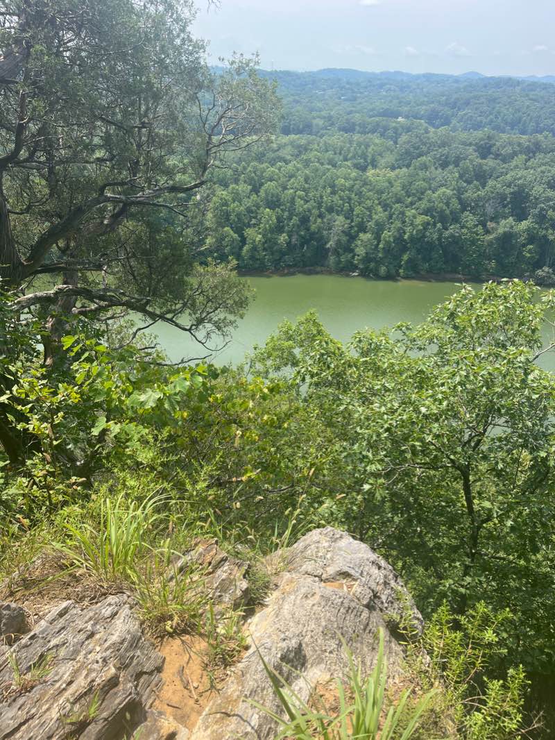 walking near me in Warriors' Path State Park in winter