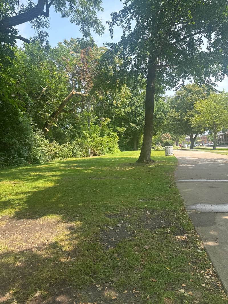 walking near me in Lake Bluff Park in summer