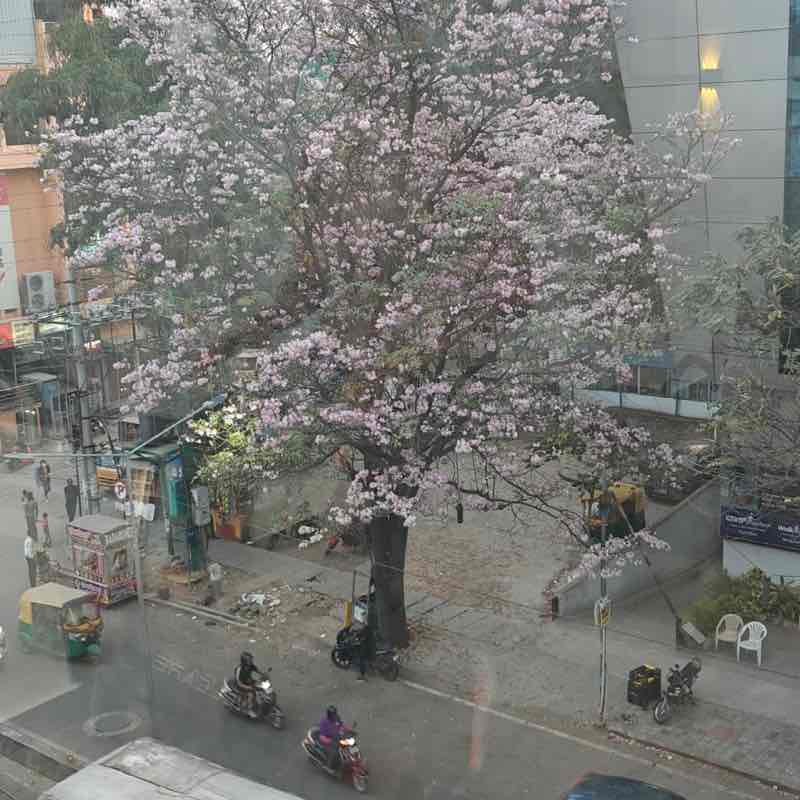 Jyoti post 1