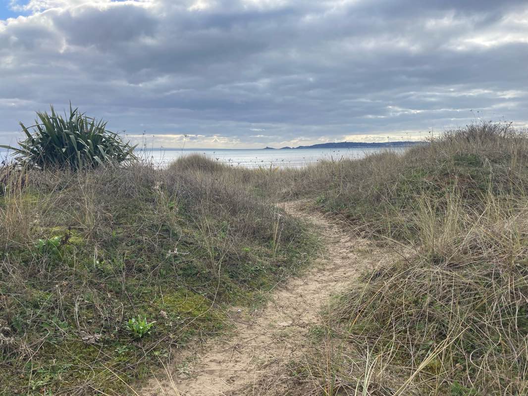 walking near me in Victoria Park in winter