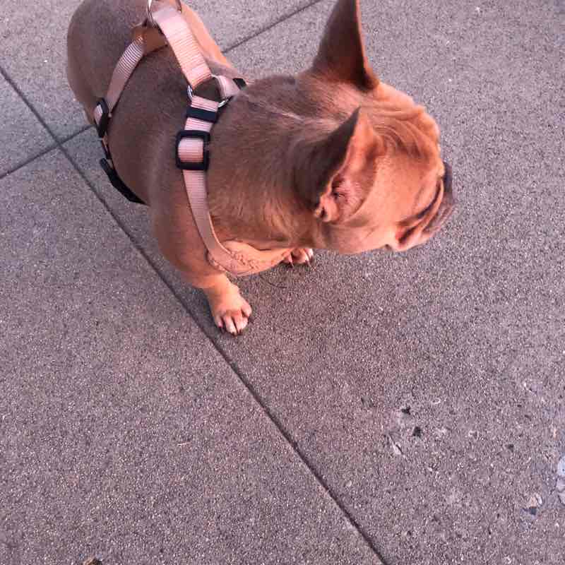 Priscilla 🫶🏼 post 1