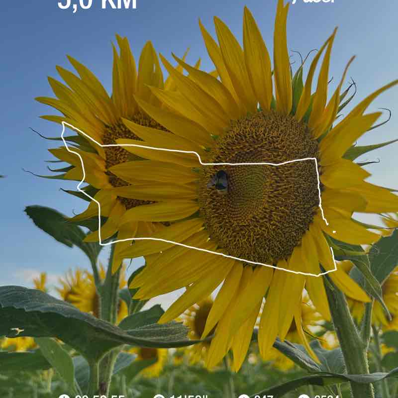 FLORA🎖️🏰🎖️ post 1