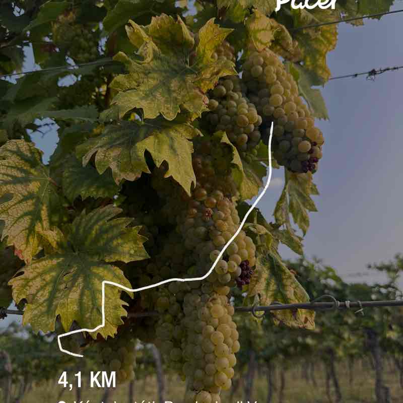 FLORA🎖️🏰🎖️ post 1