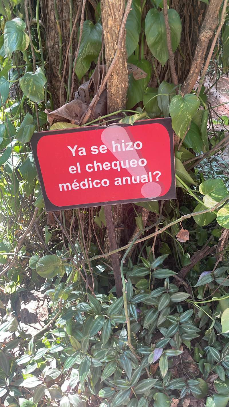 walking near me in Parque de la Salud in autumn