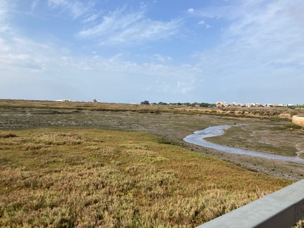 walking near me in Parque Ribeirinho in winter
