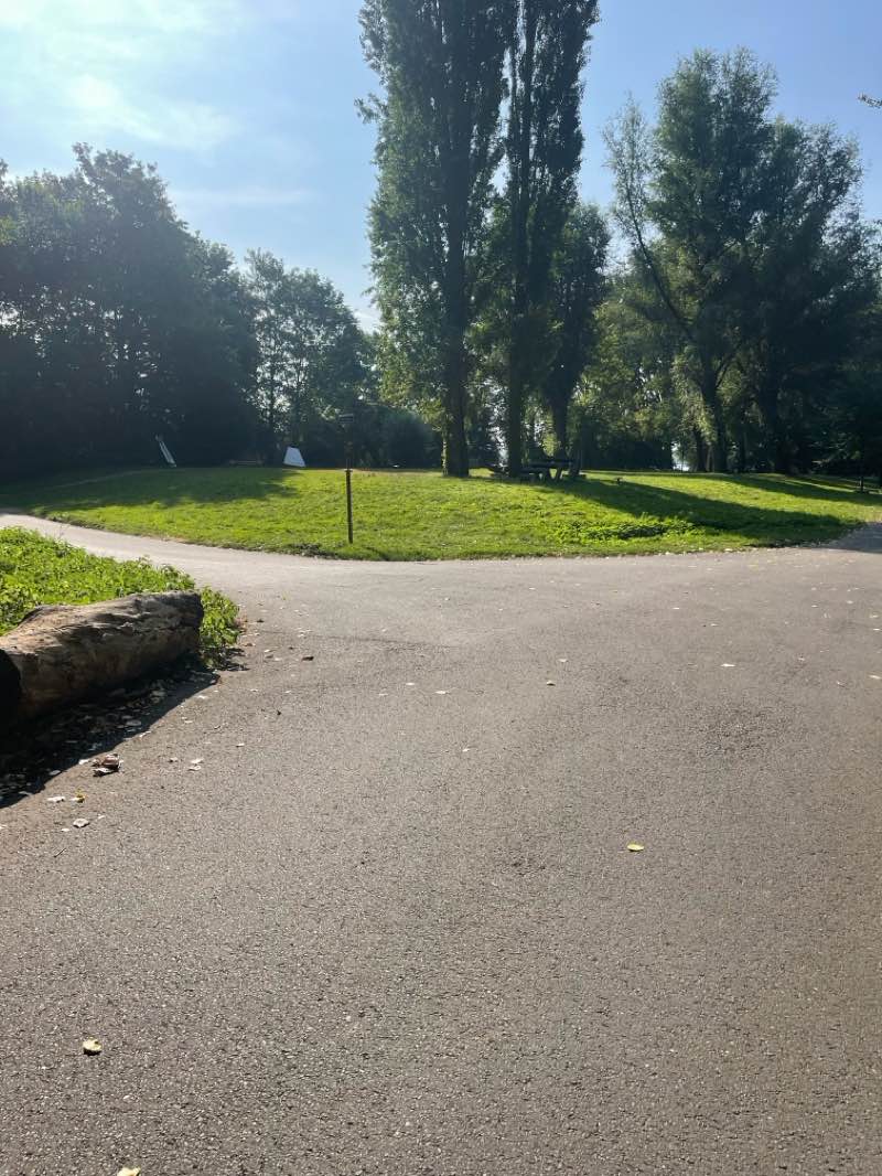 walking near me in Noordpark in summer