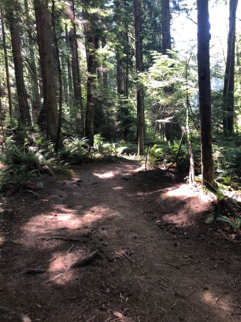 walking near me in Lake Louise Natural Resources Conservation Area in summer