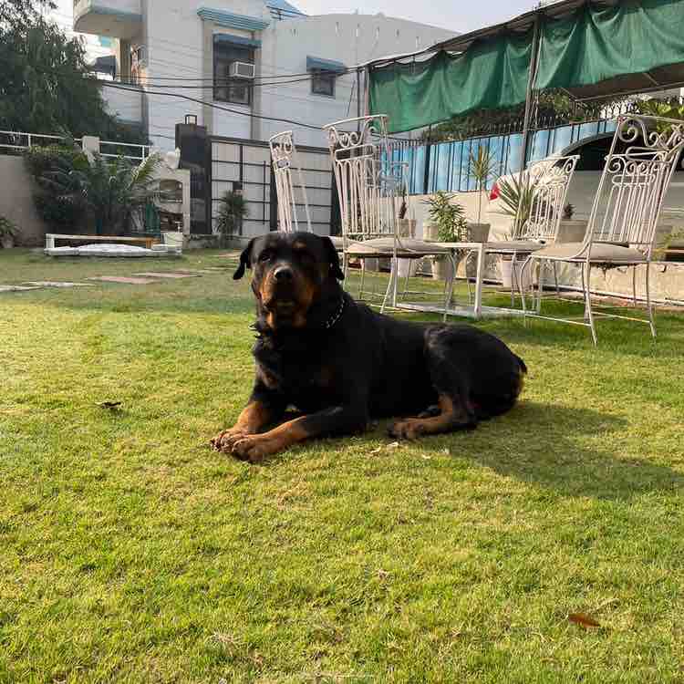 ROCKY post 2