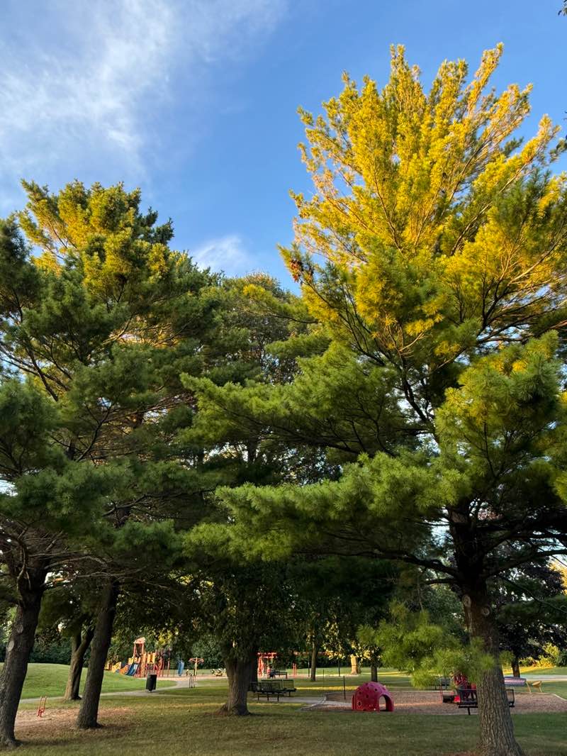walking near me in Deerpath Park in spring