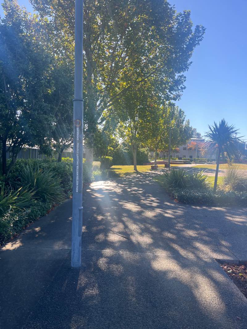 walking near me in William Nelson Park in autumn