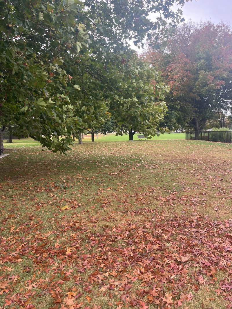 walking near me in St Leonard Park in autumn