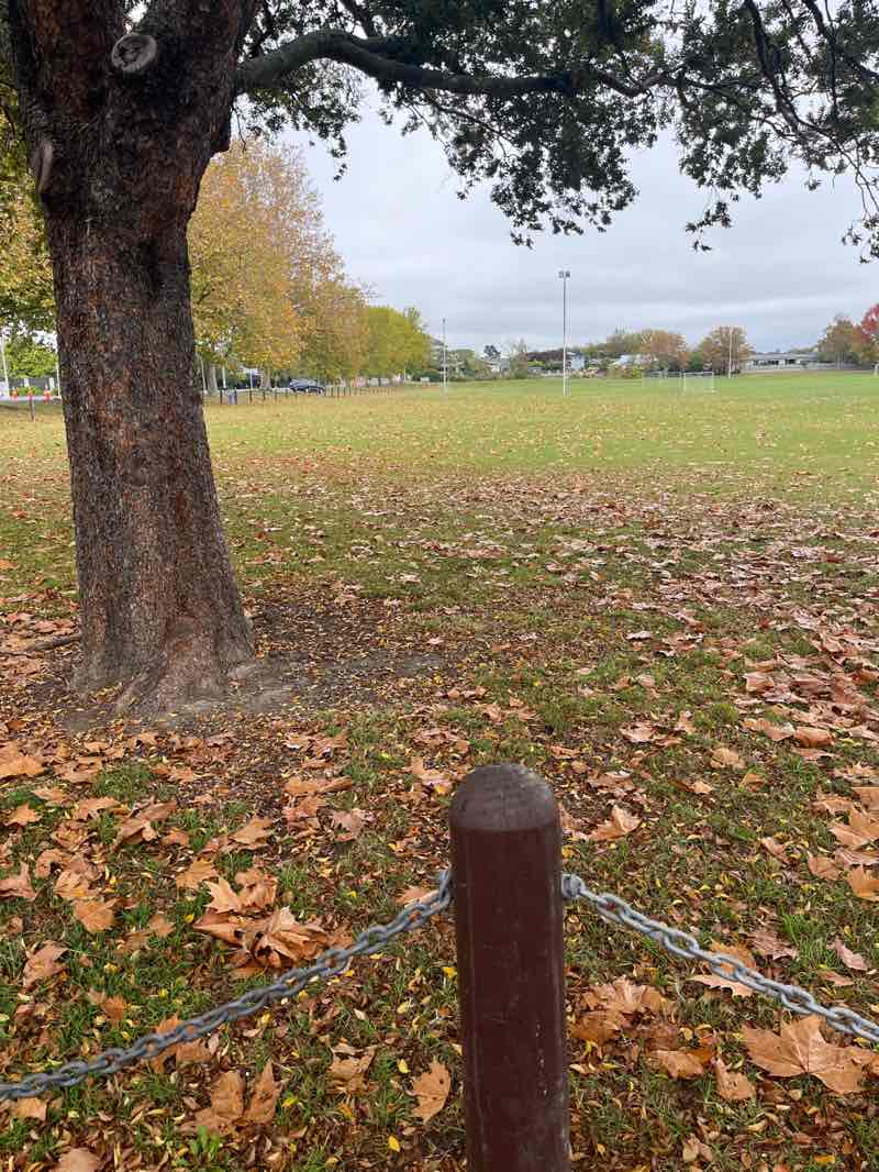 walking near me in Guthrie Park in autumn