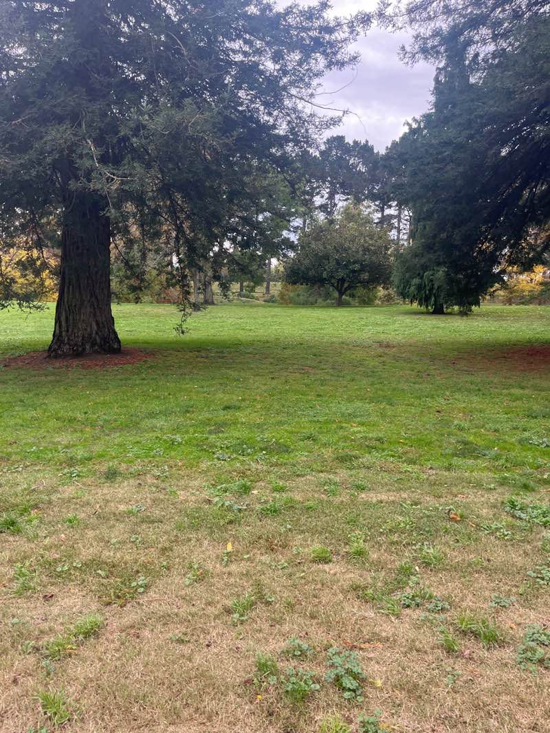 walking near me in Pakowhai Park in autumn