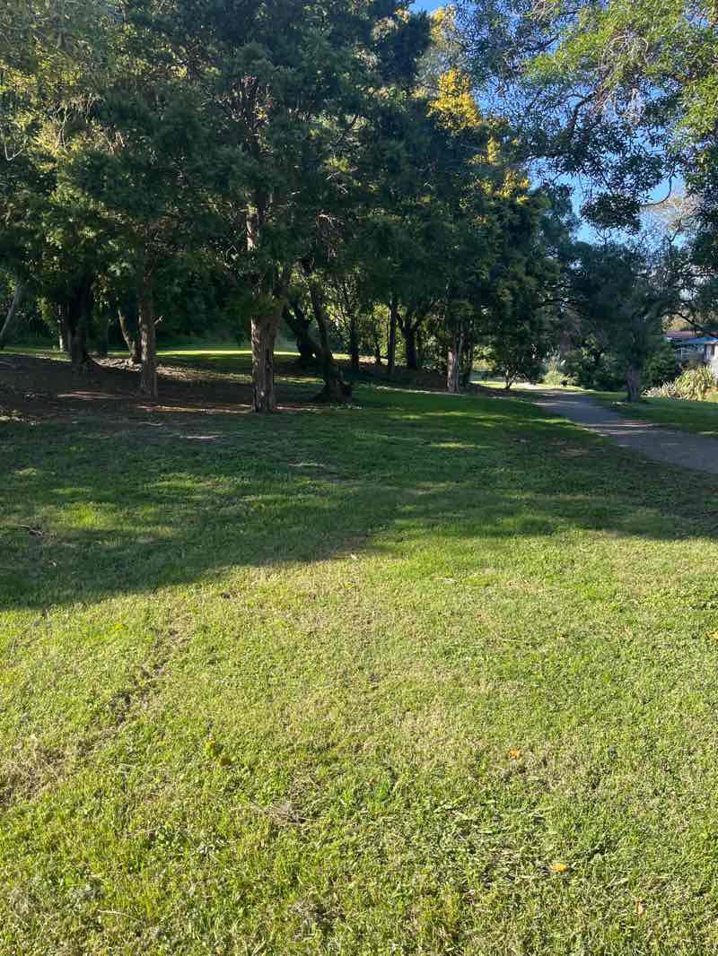 walking near me in Tainui Reserve in autumn
